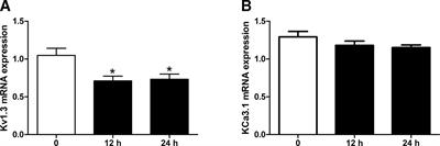 Pleiotropic Effects of Simvastatin on the Regulation of Potassium Channels in Monocytes